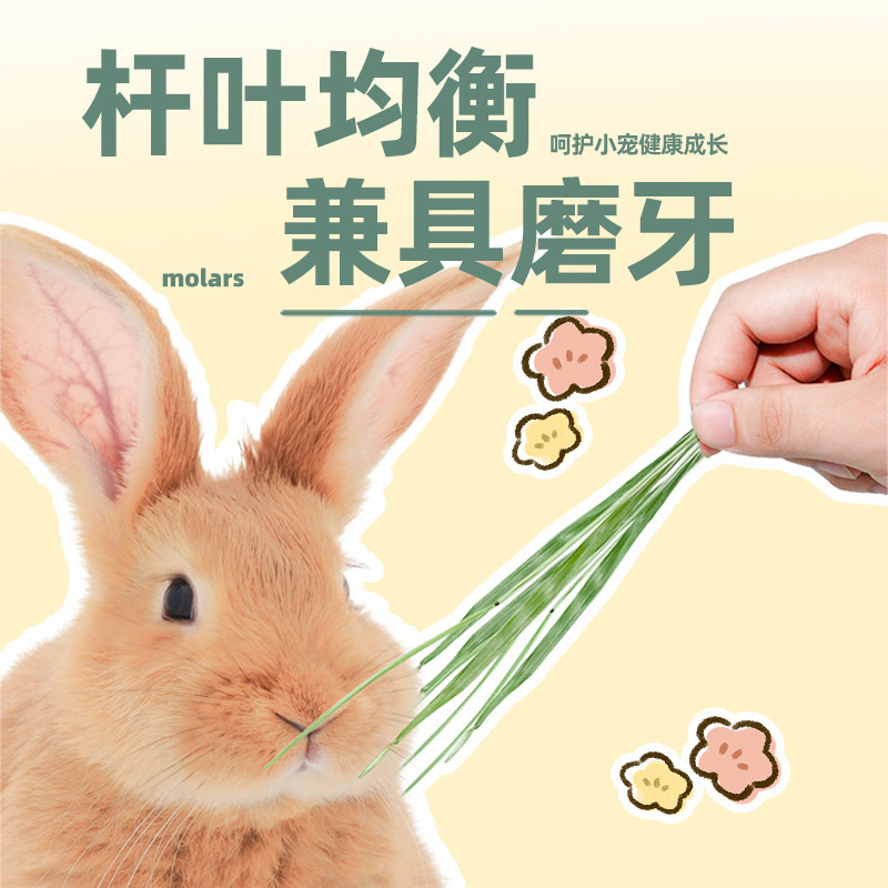 ティモシー ドライウサギフード ウサギ用飼料 モルモット用 ティモシー乾燥専用飼料|undefined