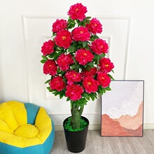 �辰���ٷ���ĵ���������҃��b[������Gֲ���͏d�������