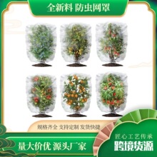 �W�羳��ƴ���ۯB������x�W�����r��ֲ��@ˇȫ���Ϸ��x�W�ּ���