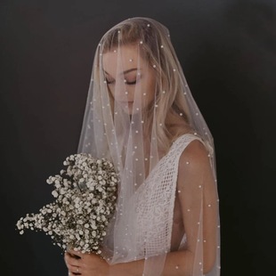 �W�������^��  �����/�o�l���Y�����Ɍ��^�Ʒ�����^�� BV07