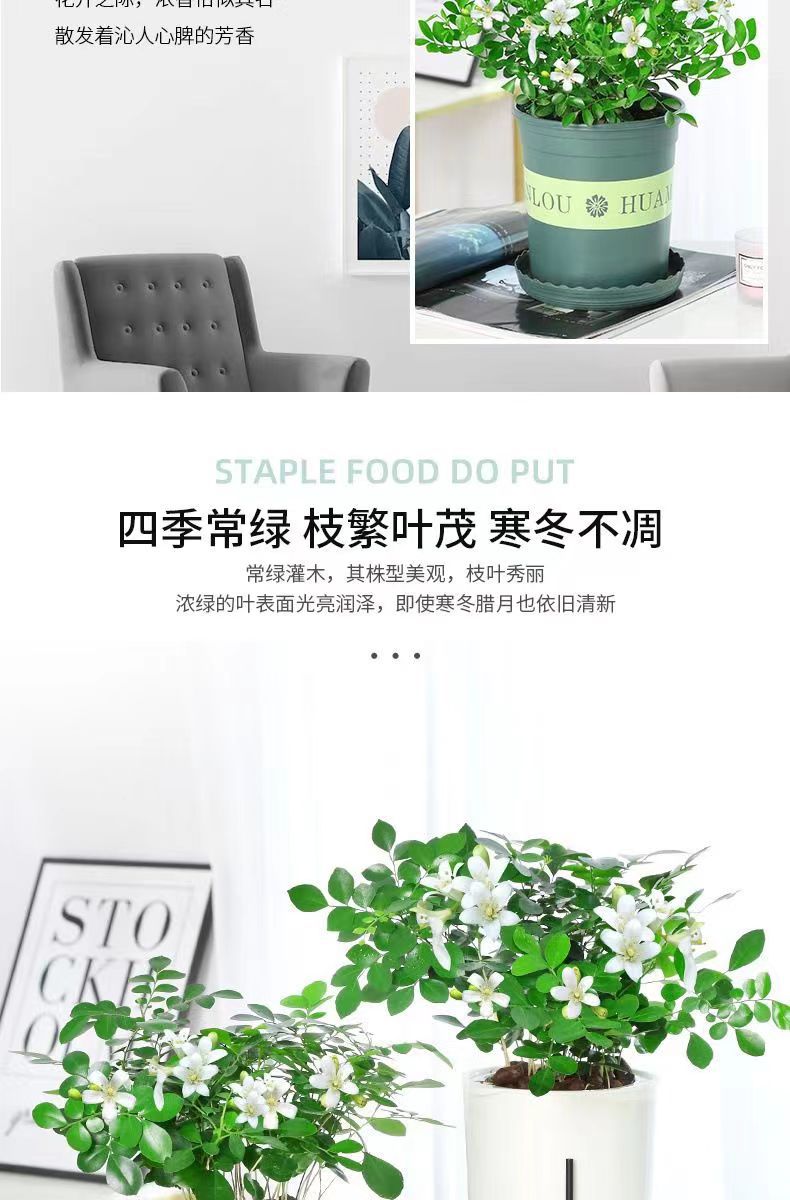 微信图片_20230318080457