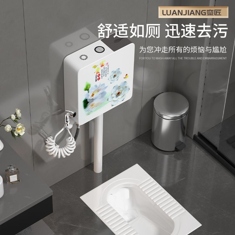 品牌蹲便器水箱卫生间后排蹲坑便池大便器蹲便器大号特大号家用|undefined