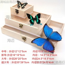 实木昆虫蝴蝶展示收纳盒化石植物标本盒大号立体加厚挂墙批发