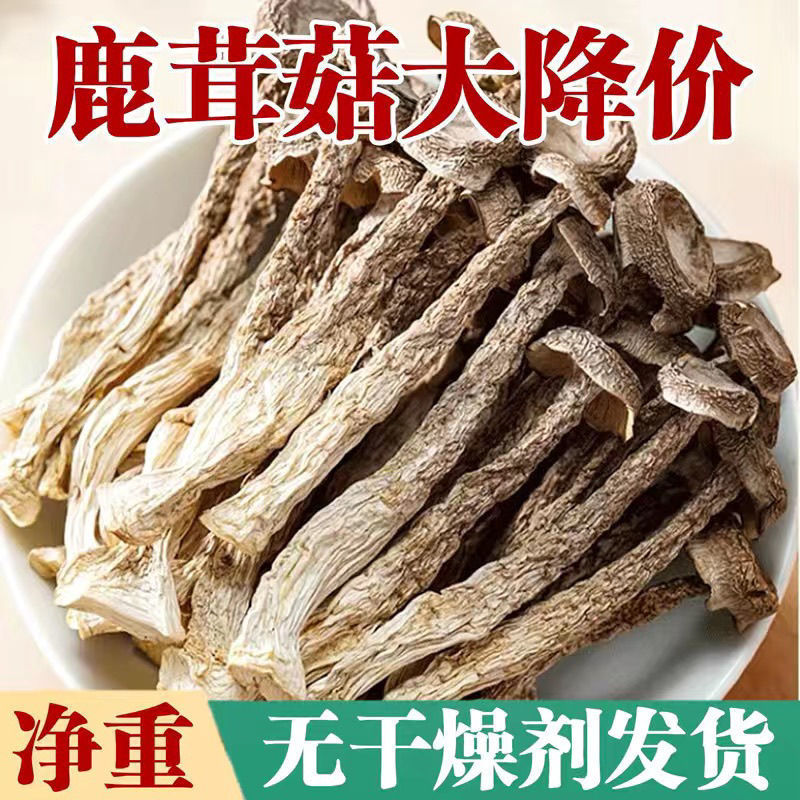 【无干燥剂】鹿茸菇干货新鲜特产鹿耳菇香菇菌菇虫煲汤炒菜|undefined