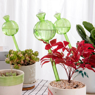 �����򝲻����GֲTulip Waterer ��ˮ�������������þGֲ���ԝ���