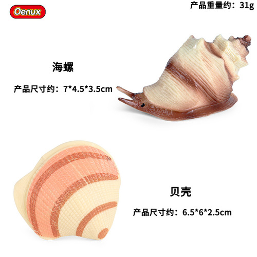 Children's early education science and education beach toys static conch shell jellyfish simulation marine animal model decorative ornaments