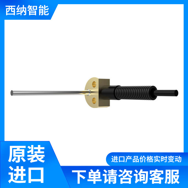 LENORD+BAUER铂电阻温度传感器GEL 2161