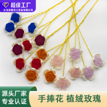 ֲ��õ�廨 20mm����������ֲ��õ�廨ͨ�׻����ֹ���DIY��������