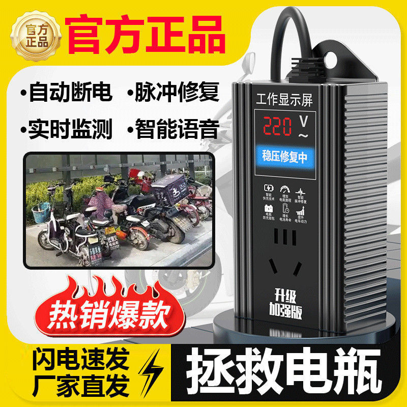 電気自動車のバッテリー修復器は電池の寿命を延ばす持続脈充電器48V60V72Vを活性化します。|undefined