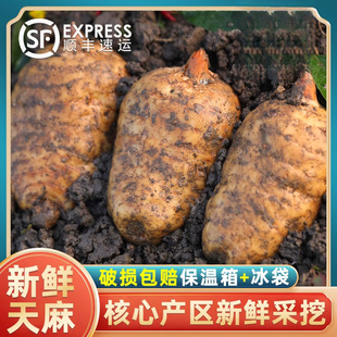 ���r��Ş����ͨ5g������ڰl�݉�С�������Ұ��