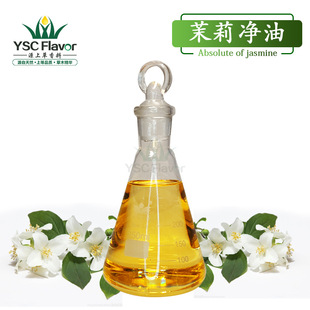 ����������� Jasmine AbsoluteС��������� ������