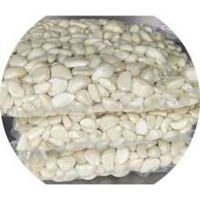 新鲜去皮蒜山东临沂二十年工厂大粒小粒带头小通货真空包装蒜米