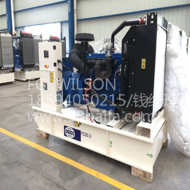 P220-3 160KW.jpg