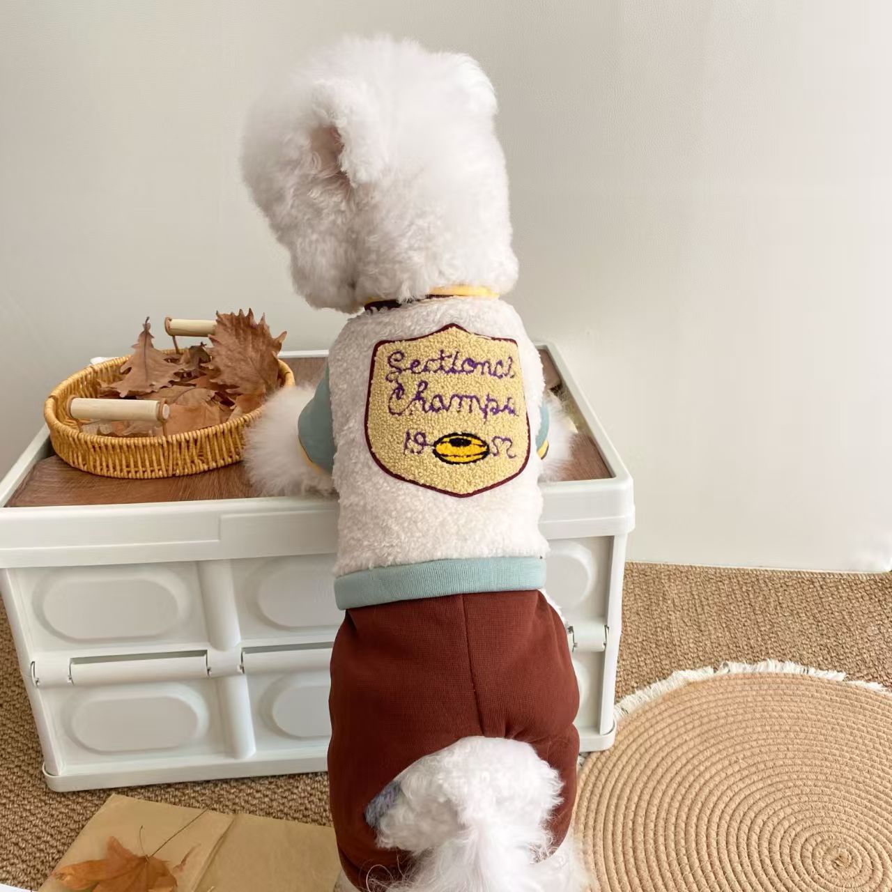 미색 럭비 팀 배지