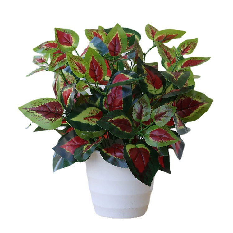 Моделирование растения бонсай маленькое зеленое растение в горшках Креативные украшения Пластиковые Офисные поддельные зеленые розы Имитация куриного сердца лист костюм