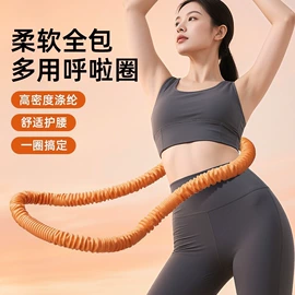 其他健身器材;健腹器;呼拉圈