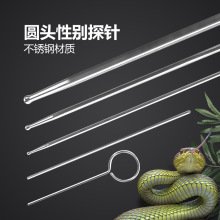 诺摩爬宠蛇类探针爬虫性别探针玩具蛇玉米蛇王蛇猪鼻蛇性别探测器