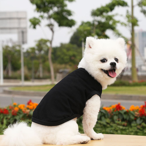 Teddy panda, small, medium and large dogs, spring, summer and autumn new pet clothes, vests, two-legged clothes
