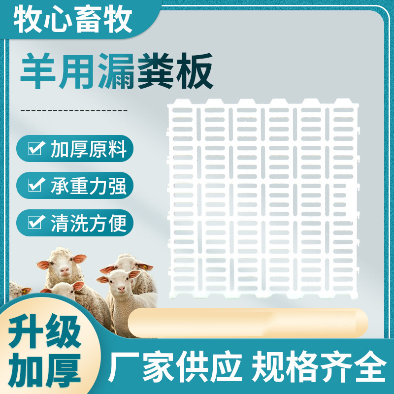 加厚养殖塑料地板漏粪板