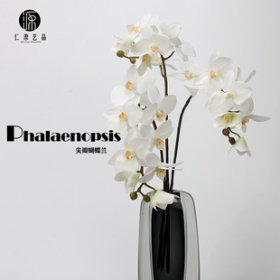 ���Sֱ�N ���С�����m�ָмٻ� ��֧8�^���滨 ��c��ˇ�ҾӲ廨