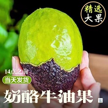 ���x�����M��ţ�͹����r����ˮ�����r���{�摪���I�B�S���ЋD���]