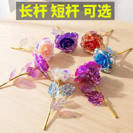永生花金箔玫瑰花束单支母亲节生日创意小礼品圣诞跨境情人节礼物