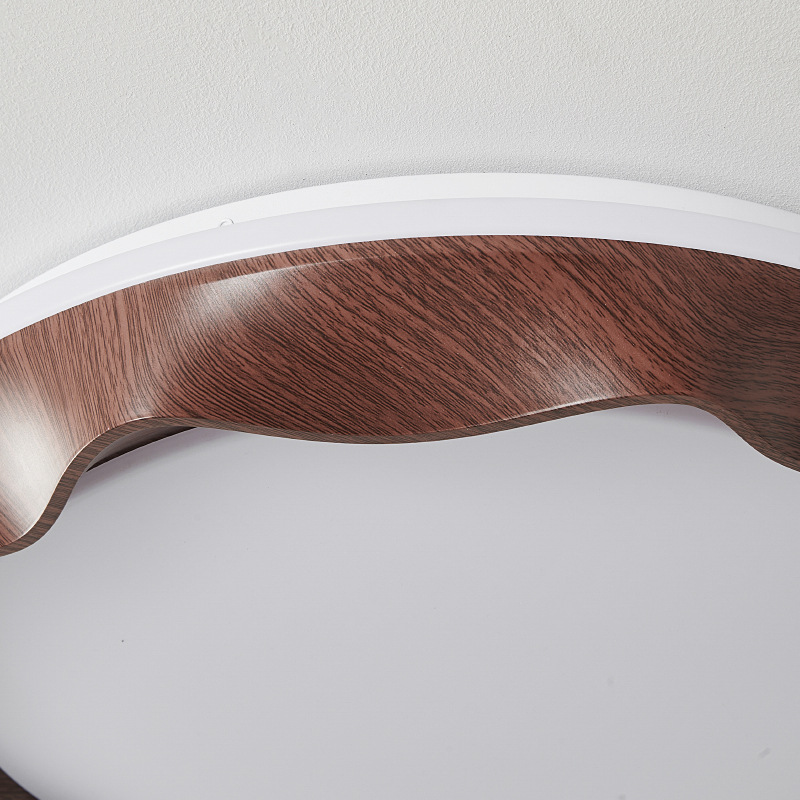 [Seleccionado] Lámpara de techo de protección ocular retro francesa