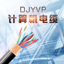 計算機屏蔽電纜_聚乙烯絕緣材質靜電屏蔽電纜DJYPV DJVP2V