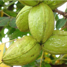 ���Ҙ��������̸�������޽���������L�۹�����Y���Ϸ������Nֲ