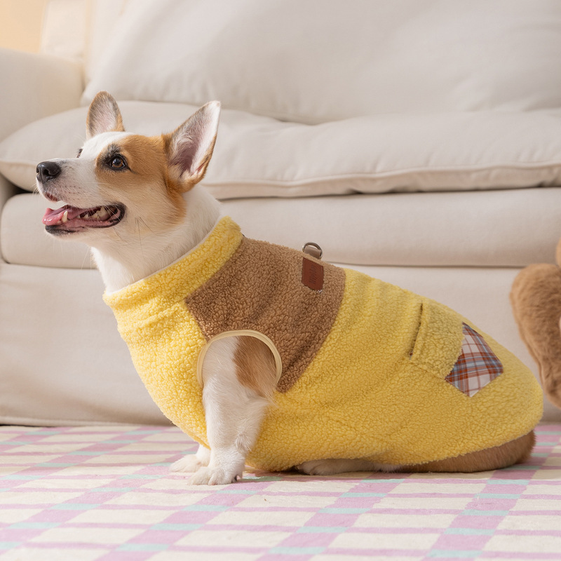柯基狗狗衣服秋冬撞色小熊贴布中型犬保暖两脚绒衣腊肠犬宠物服饰|undefined