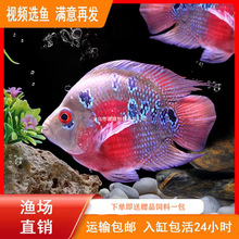 wlb�����W�^�~�_�h�~�~��ˮ�Ꭷ�^�p�~Ԫ���lؔ�~�_�h�~