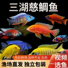 ���������~�R�����w̹���s���~�җ���ˮ�~���Ϳ��{���g���������~