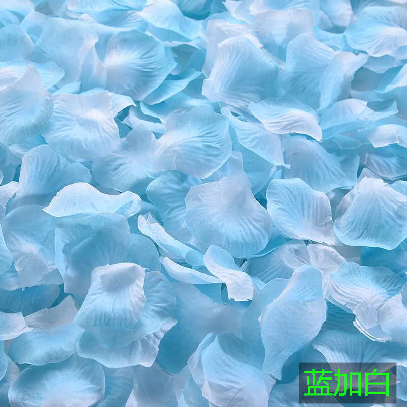 O1CN01YmrSMO2HQ0er2lXHu_!!2219363099144-