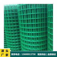 �V�ݹ��S�F؛Ȧ���Bֳ���W�Gɫ���ܺ��m�W Ӳ���F�z�����κ��m�W