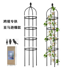Cross-border Amazon Spliced ​​Climbing Flower Stand Rose Climbing Stand Plant Climbing Frame Support Flower Stand Frame Wholesale