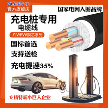 湘联充电桩电缆YJV RVV电缆铜芯智能电桩专用线路灯线7KW6平方