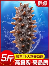 ���B������ʳ���r��ɺ��B�|�����؛Ұ������500g�؃r��Ş�b��