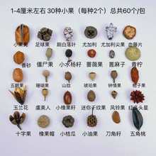 ��N�����ֹ�diy�˱�Ϟ�T��޹�׃��h�����z