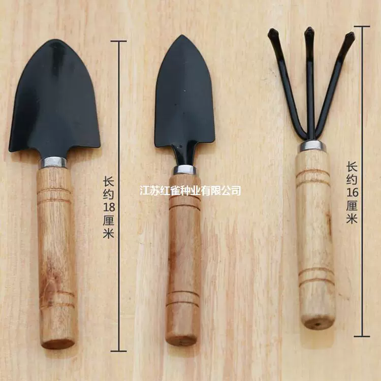 Набор из трех предметов садовых инструментов Инструменты для выращивания цветов мясистая посадка в горшках небольшая железная Лопата грабли