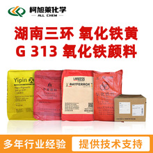 �������h G313 �������h �����F�S G 313 �o�C��� �����F���