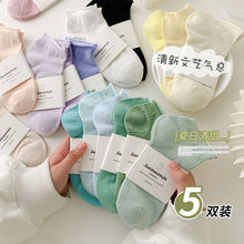 ���ı������m��Ůins����ϵ����ɫϵ�W�۾�߅��Ͳ�m