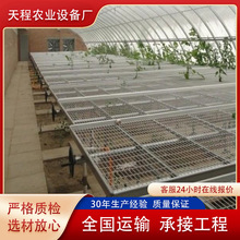 农业种植专用镀锌移动苗床防腐防锈铝合金边框网格式种植架育苗床