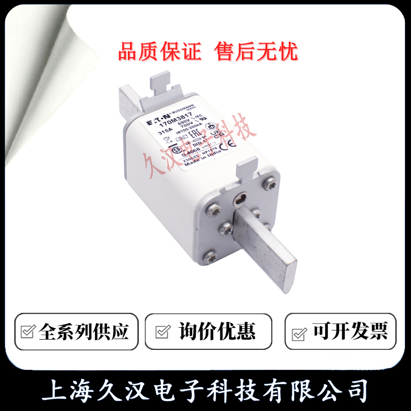 170M3817 170M3818 170M3819 170M4863 BUSSMANN 熔断器 保险丝