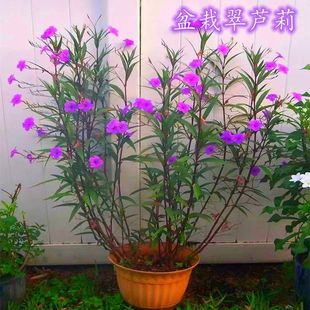 ���J�������Զ������޸������͟��ͺ��ļ��_�������̨¶�����