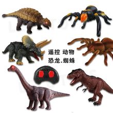 �羳�t�⾀�b�ؿ��������� ������̼t�⾀�����b�����M��� 9989