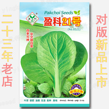 ӯ21̖N s1200sײ˷N ļ~񹣷۟o׷N