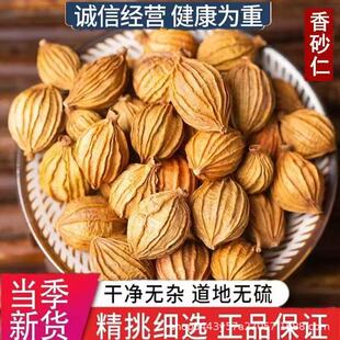 ��ɰ�����l�u�����F؛����ȫ�]����ɰ�u����ɰ������������