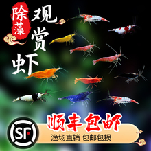 �ښ��r���w����ݸ��쾰�^�p�rˮ���r�ѻ��O�����r���嵭ˮ�����r