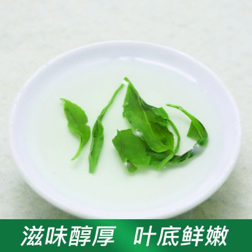 New tea, spring tea, Guyu fragrant tea, early spring fried green tea, high mountain tea, non-Songyang Rizhao fragrant tea wholesale