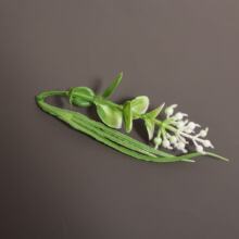 ����ֲ������ˮ������ɲ洺�ݹ��������b�Ʒ����Gֲ�廨�����